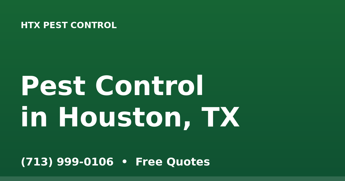 Attic & Wildlife Exclusion in Spring, TX | HTX Pest Control